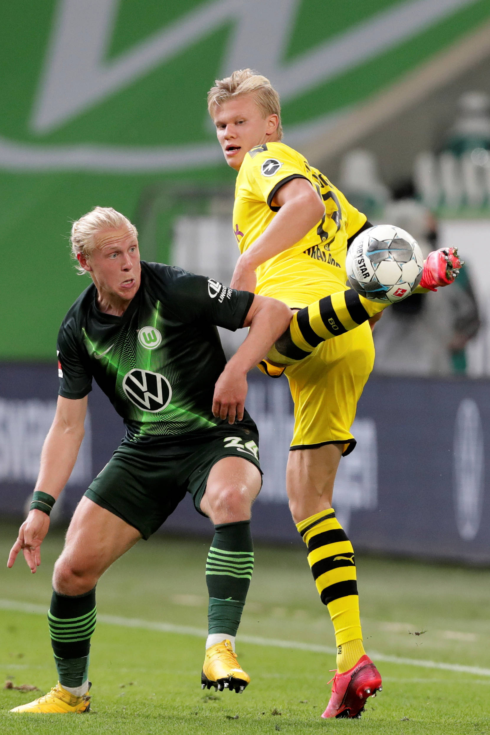 让这篇内容 让这篇内容