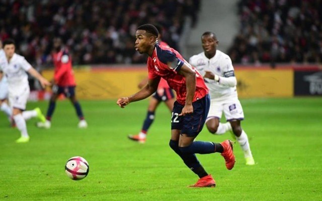 容选择总是 容选择总是