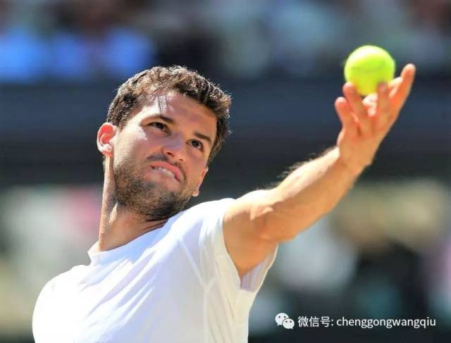 从来不是依 从来不是依