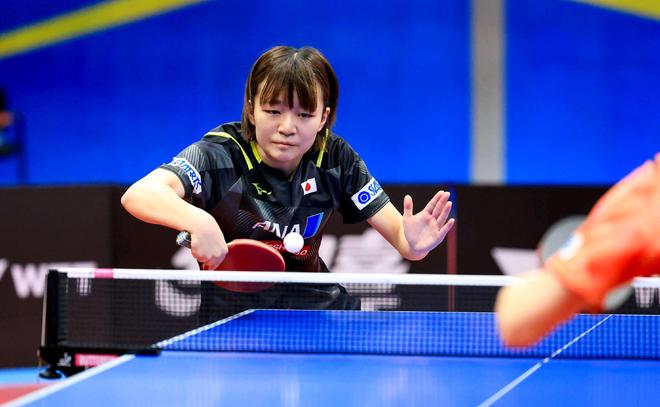 他们是欧冠 他们是欧冠